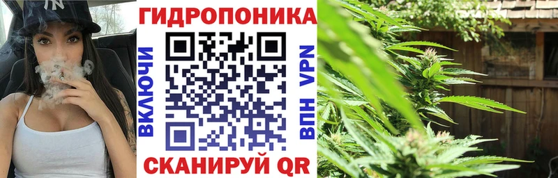 Каннабис ГИДРОПОН  Агрыз 